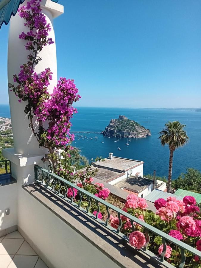 Bed and Breakfast La Pergola Del Torchio Искья Экстерьер фото